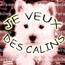 je veux des calins